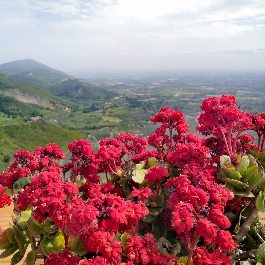 La Rupe Norma